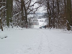 Vinter