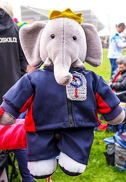 elefant1.jpg