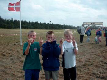 H12 DM-Guld