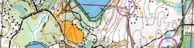 Falkdrevet 061013
