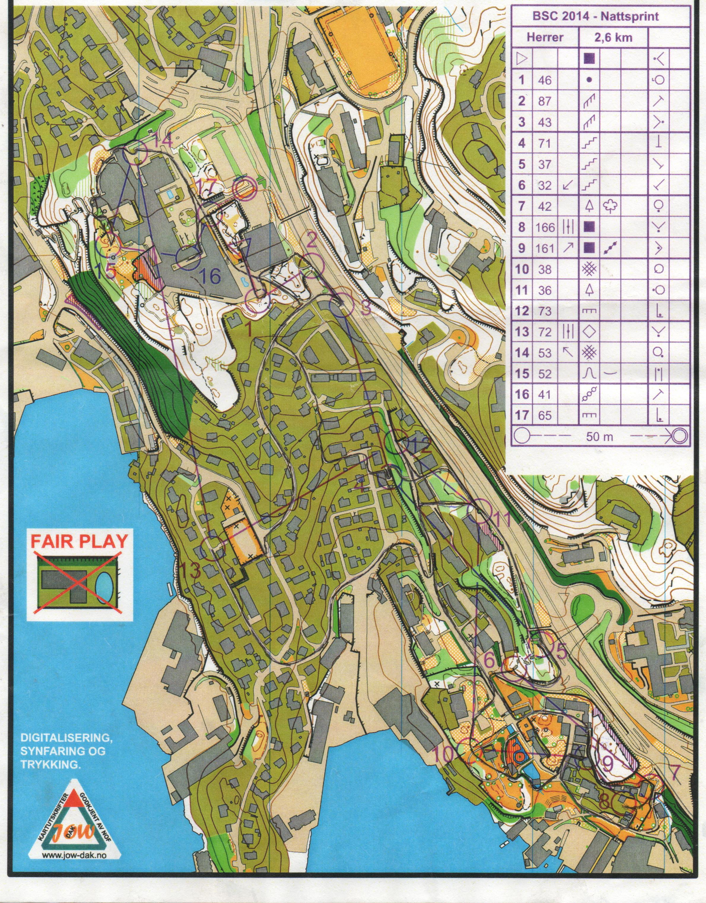 BSC 2014 - Nattsprint (31/01/2014)