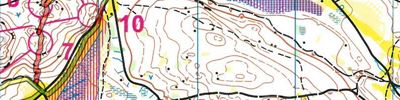 Swiss Orienteering Week 2. etape