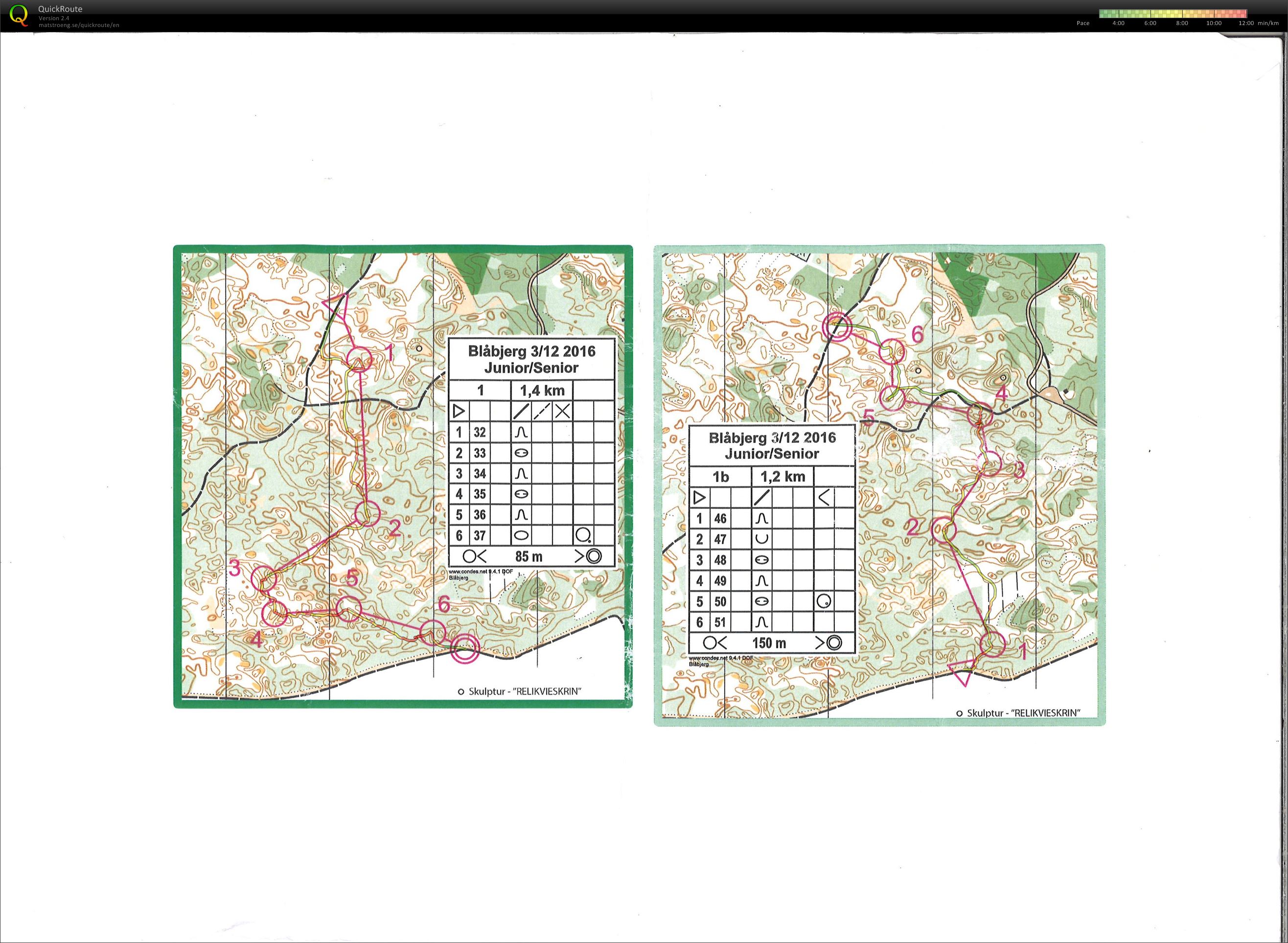 Landsholdssamling, Skygning (2016-12-03)