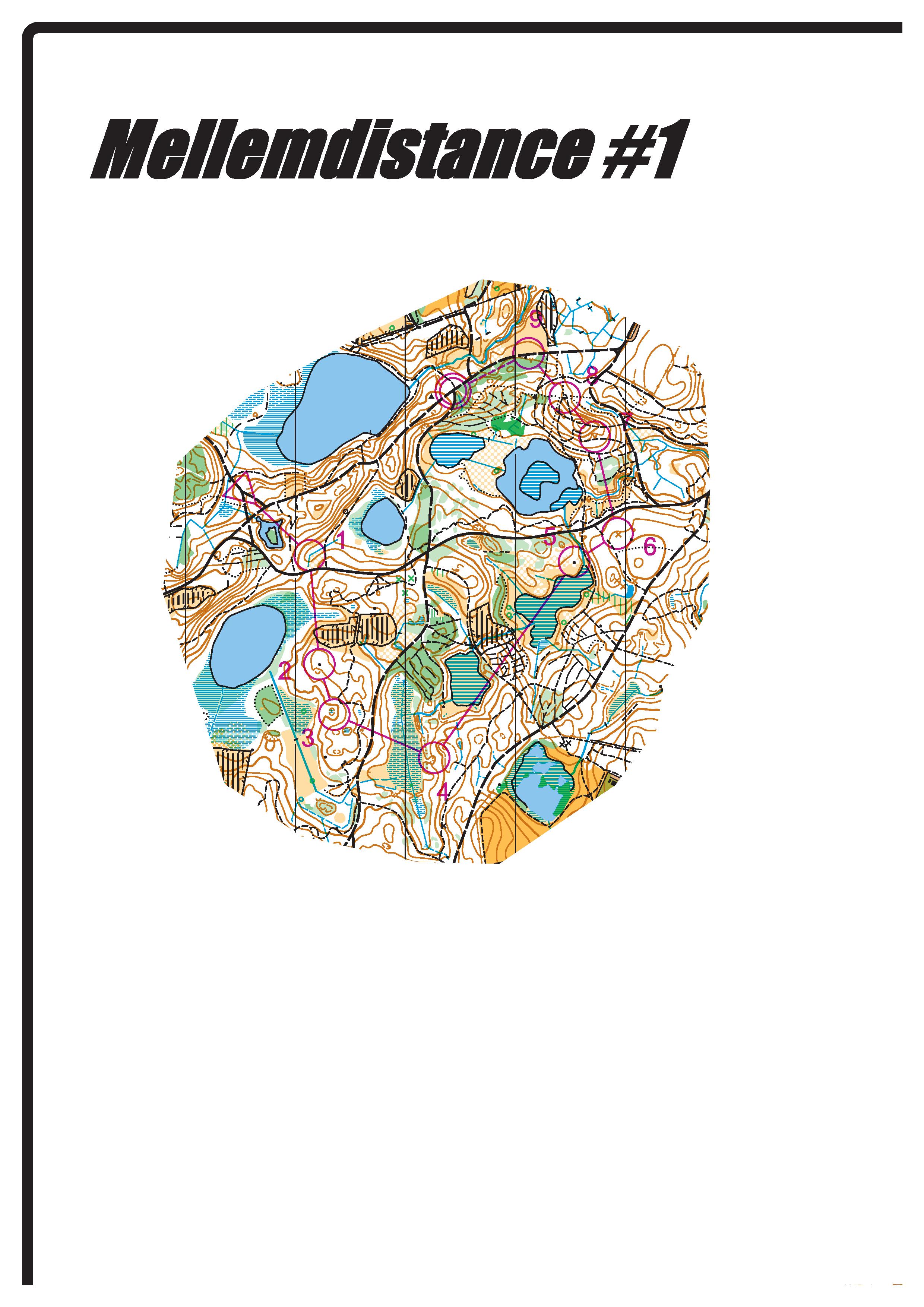 Mellemdistancetræning #1 (25-02-2017)