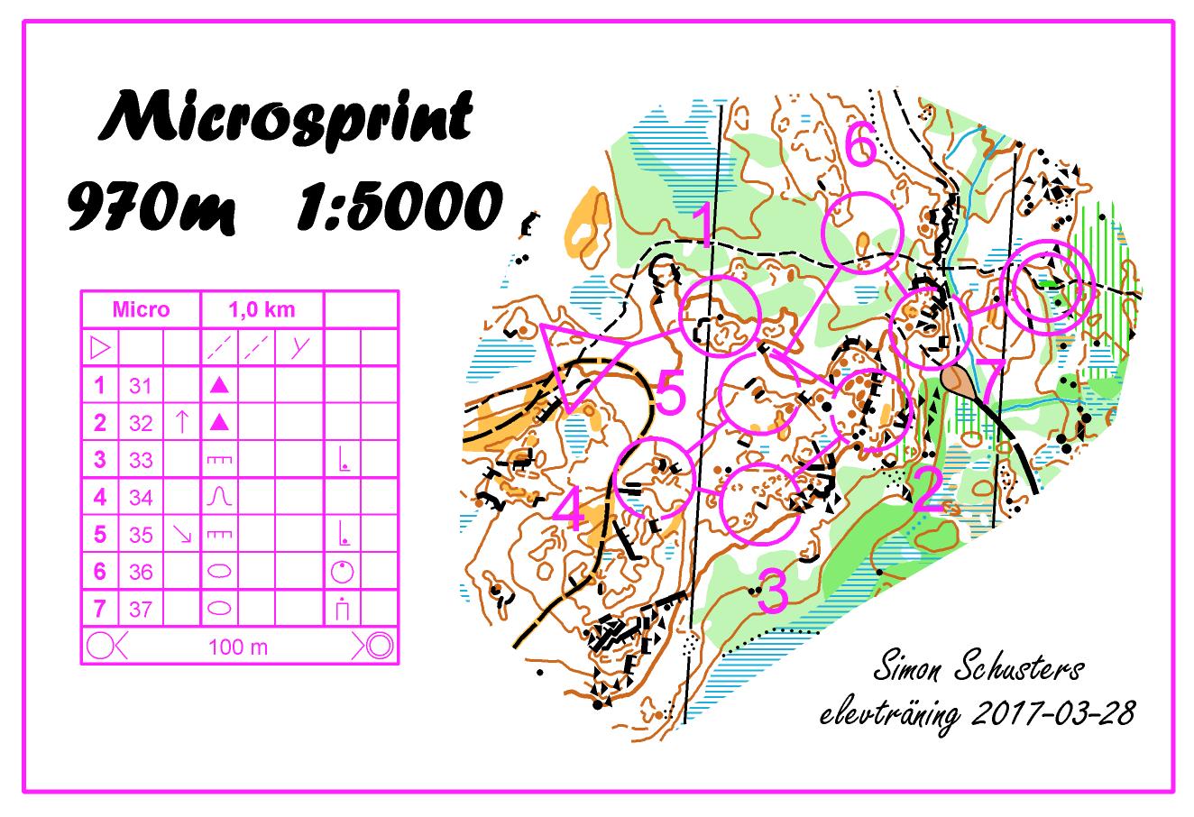 Microsprint (28.03.2017)