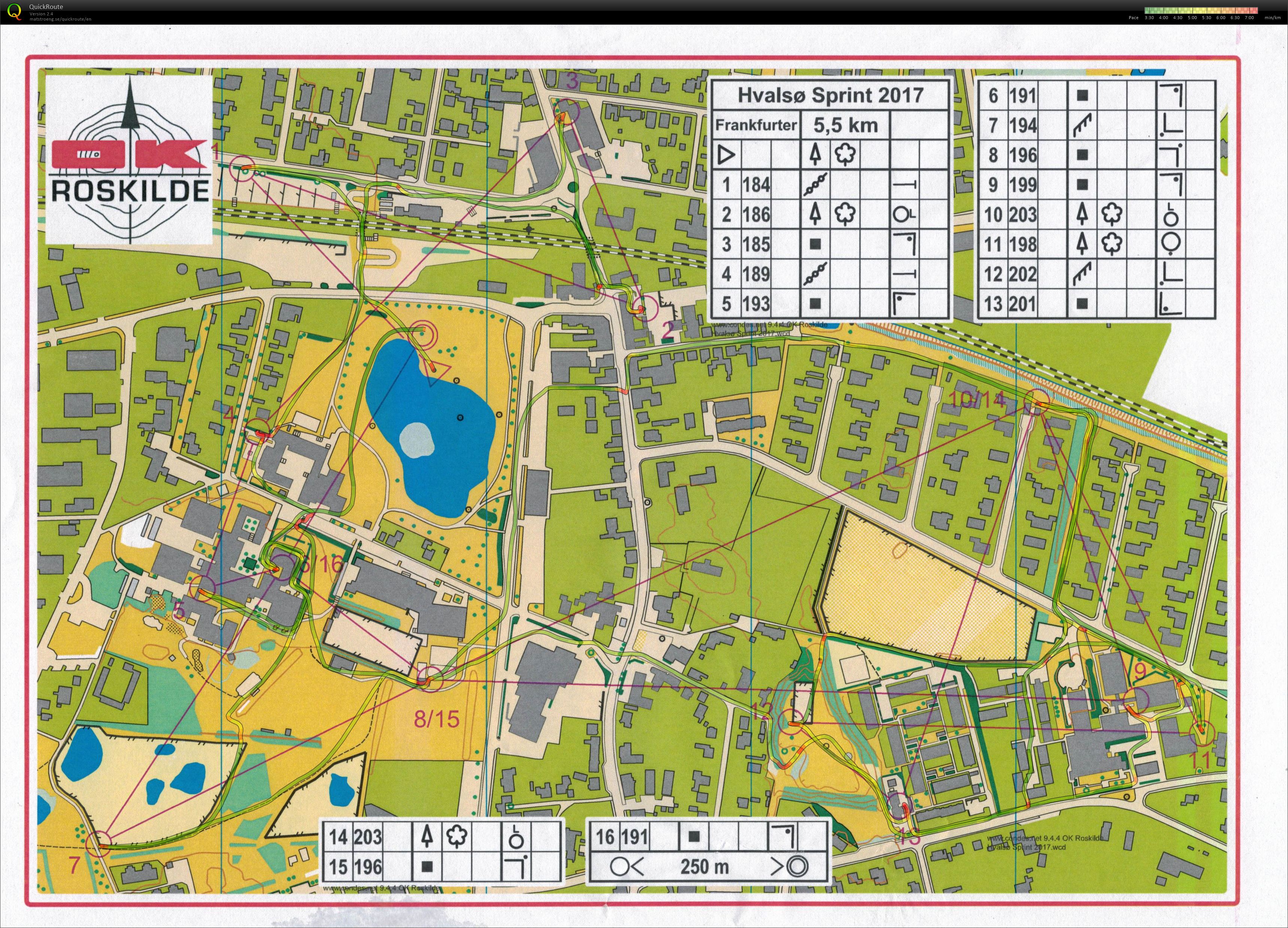 Sprint træning, Hvalsø, "Frankfurter" bane (2017-06-06)