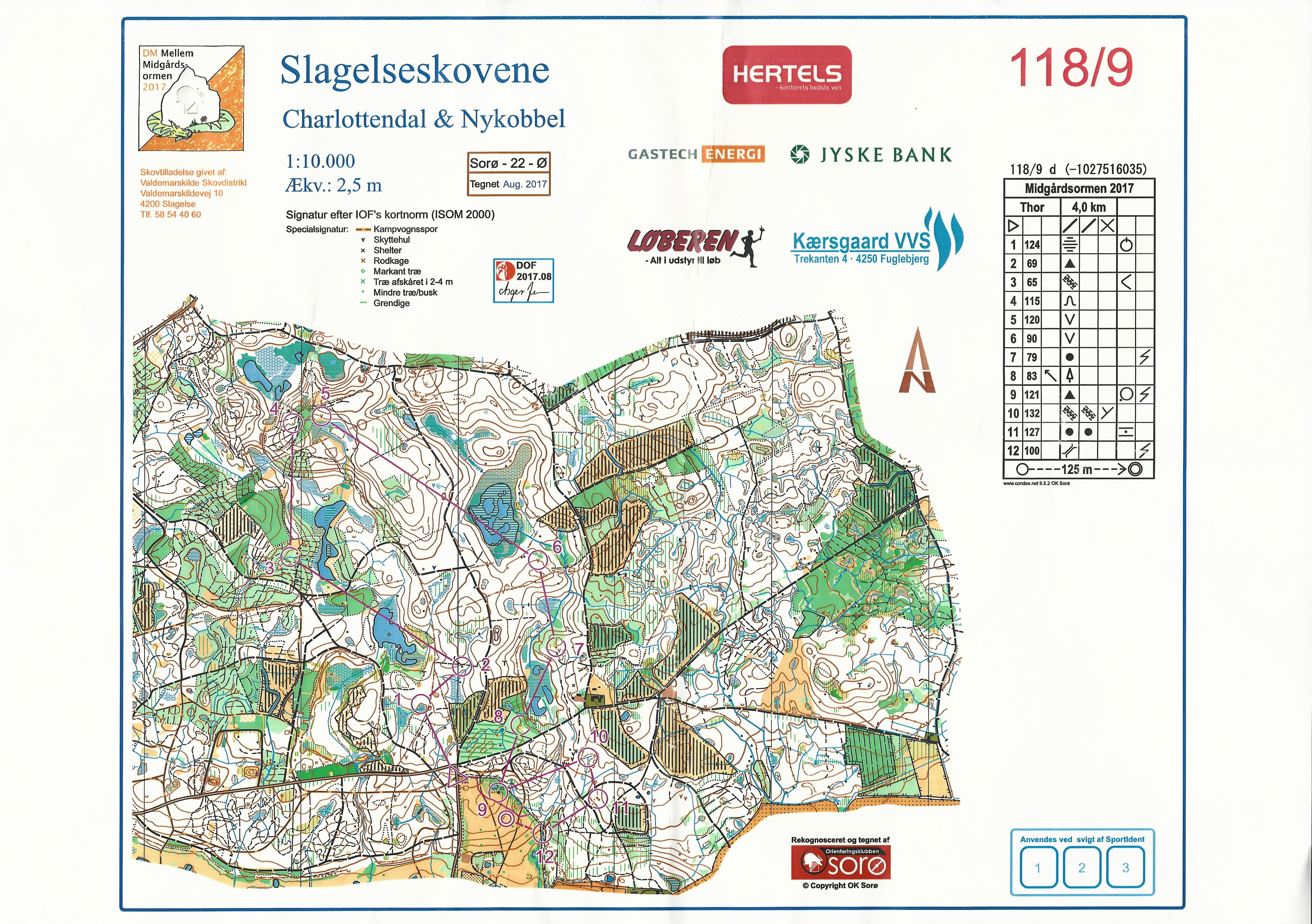 DM Mellem Midgårdsormen 2017, Relay (20.08.2017)