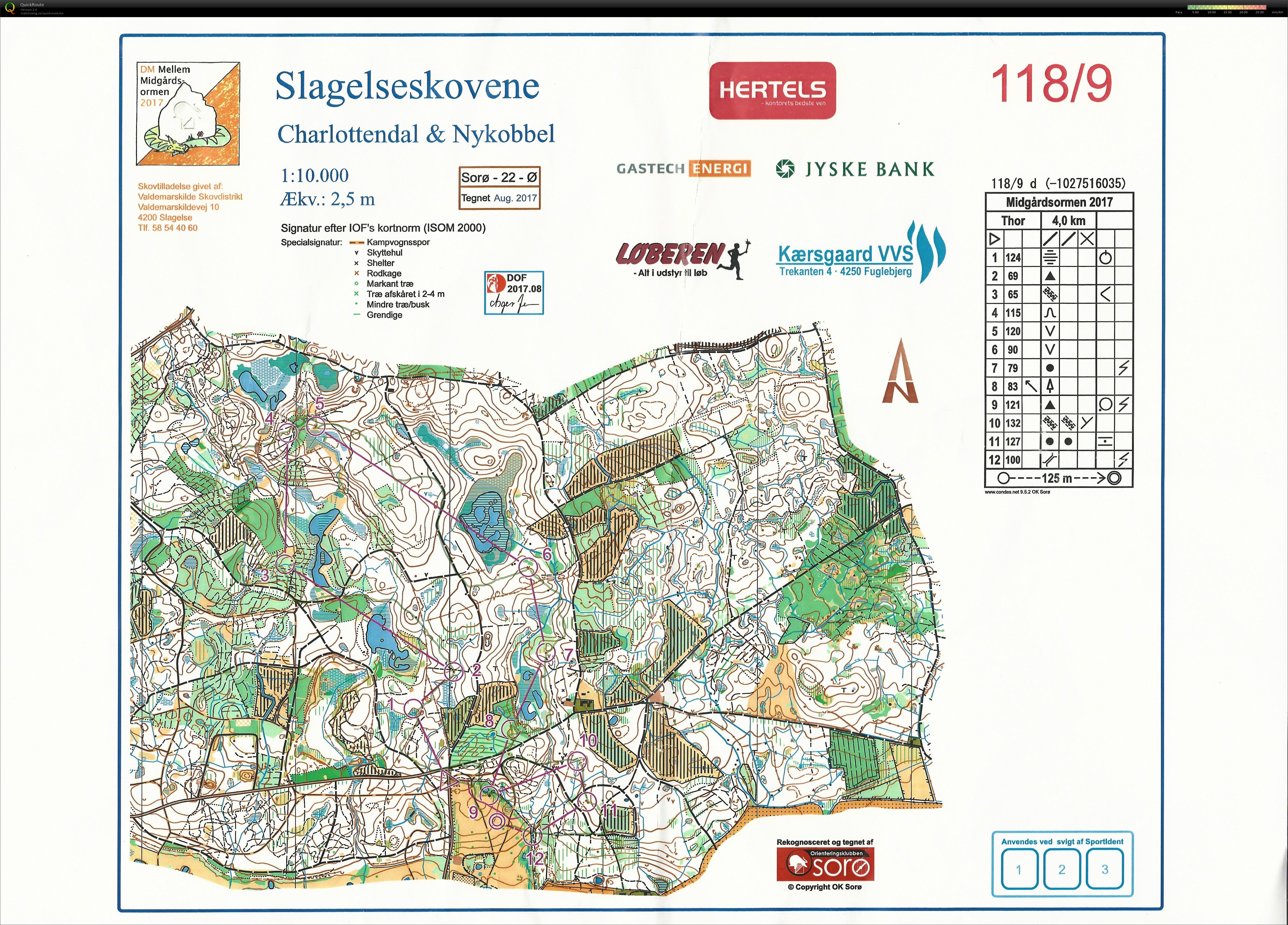 DM Mellem Midgårdsormen 2017, Relay (2017-08-20)