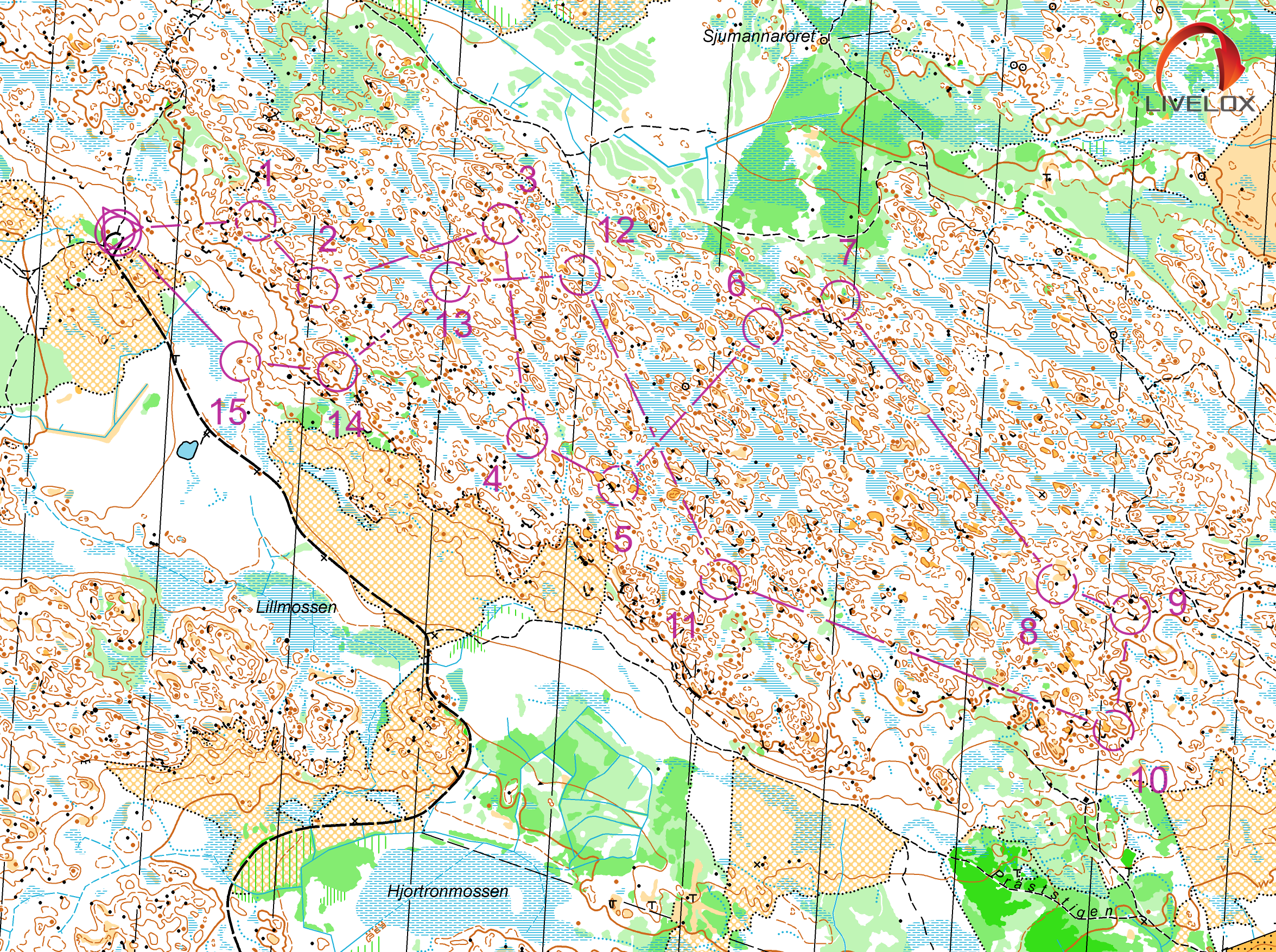 Nat Tjäderleksbergen (24/10/2017)