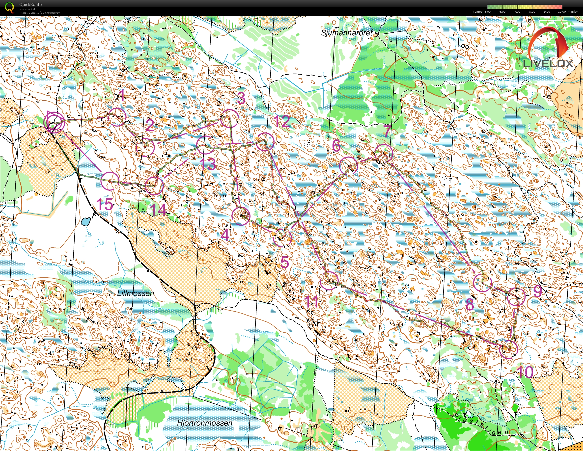 Nat Tjäderleksbergen (2017-10-24)