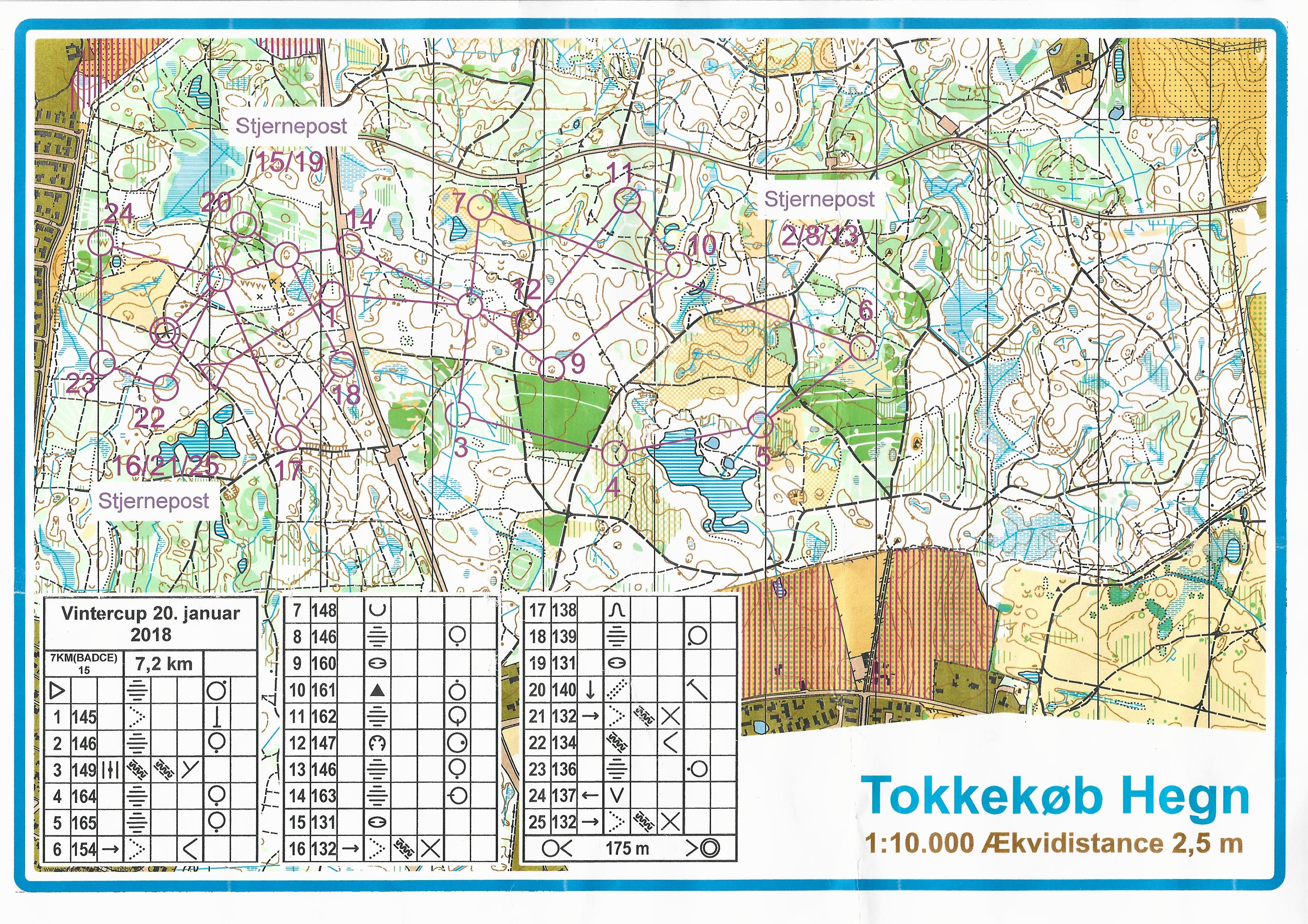 Vintercup, Tokkekøb Hegn, H40 (2018-01-20)