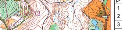 Roskilde 3-dages 2. etape