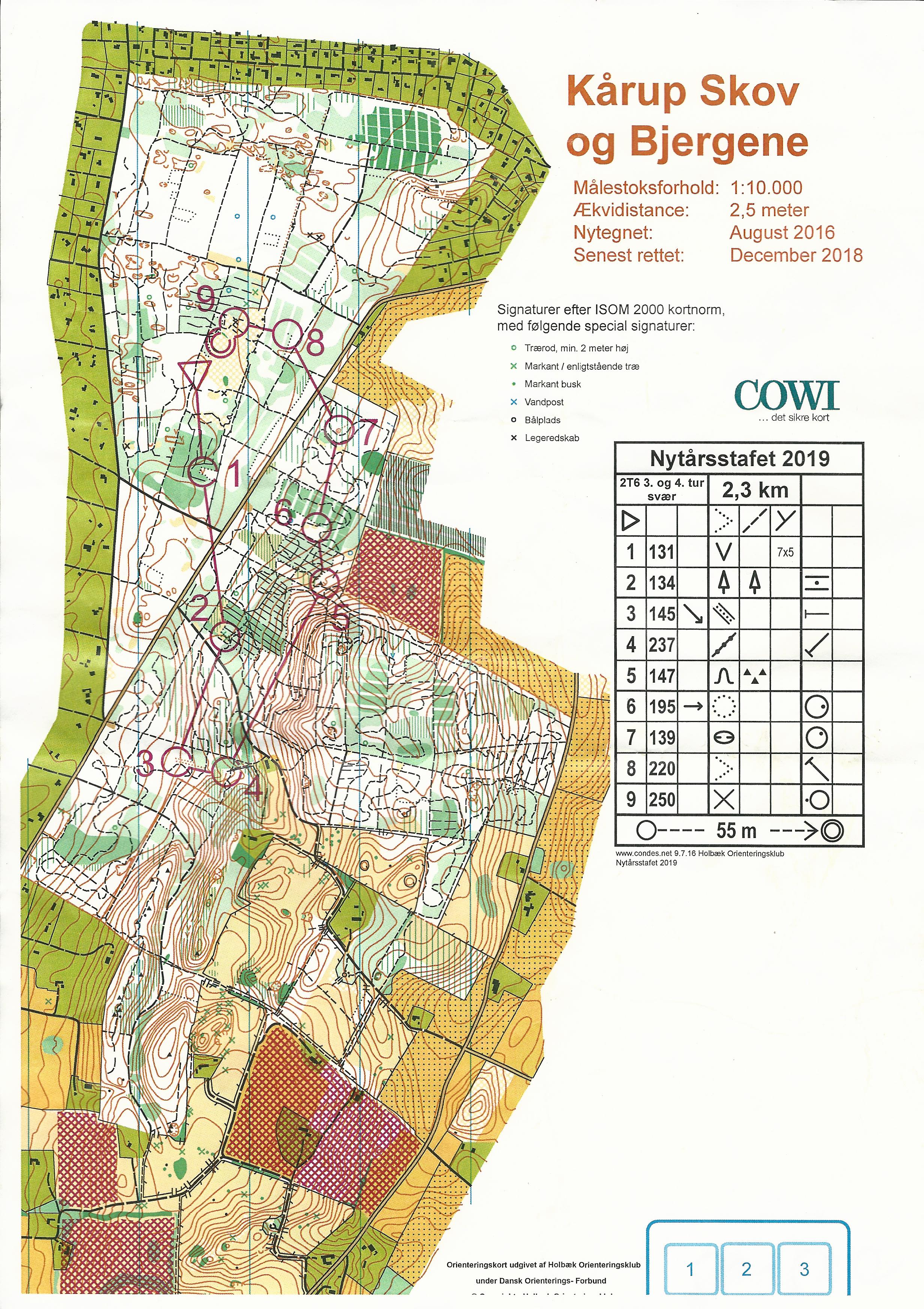 Nytårsstafet 2019, Leg3 (2019-01-06)