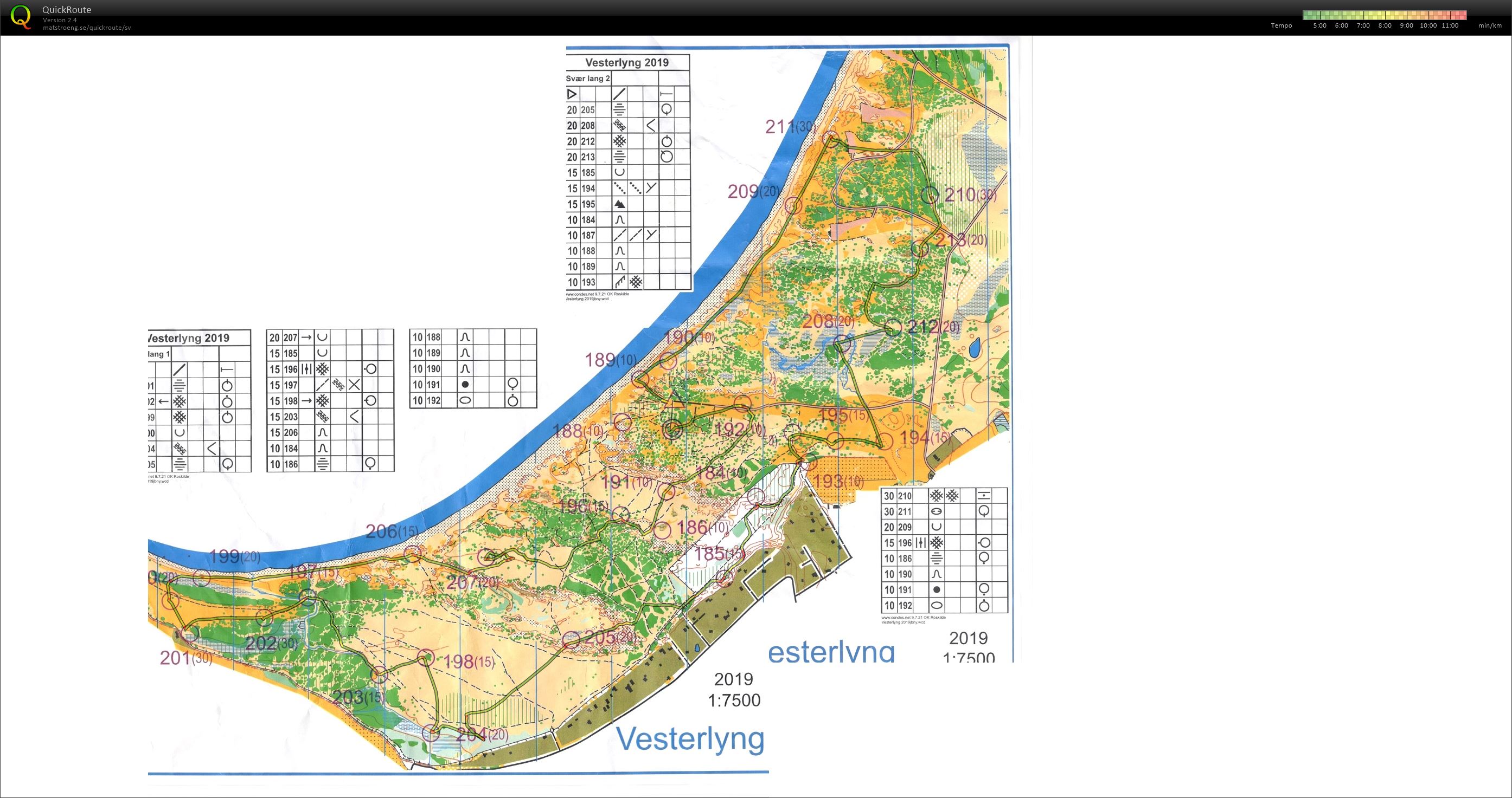 Vesterlyng 2019 (10.06.2019)