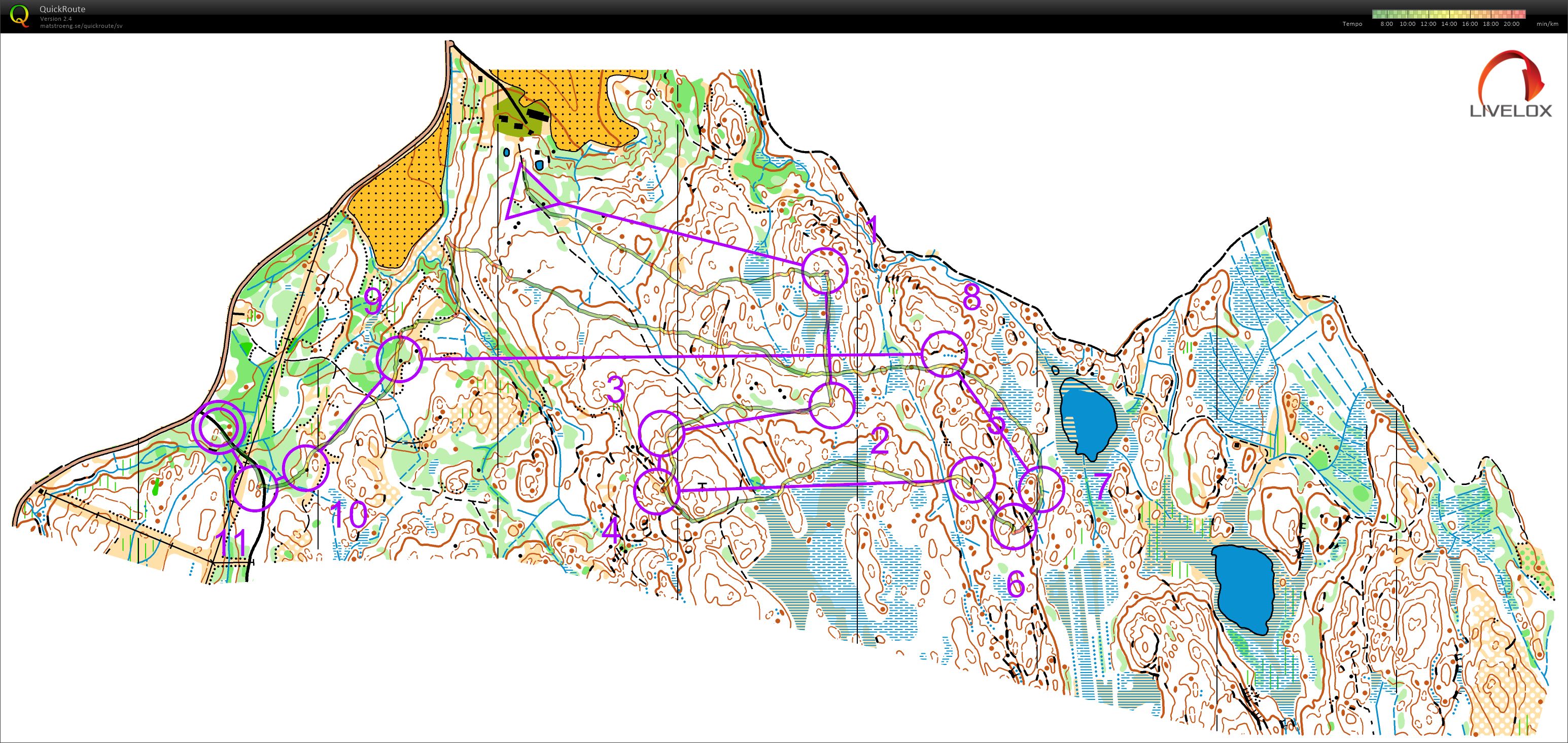 WOC2019-3 (14/08/2019)