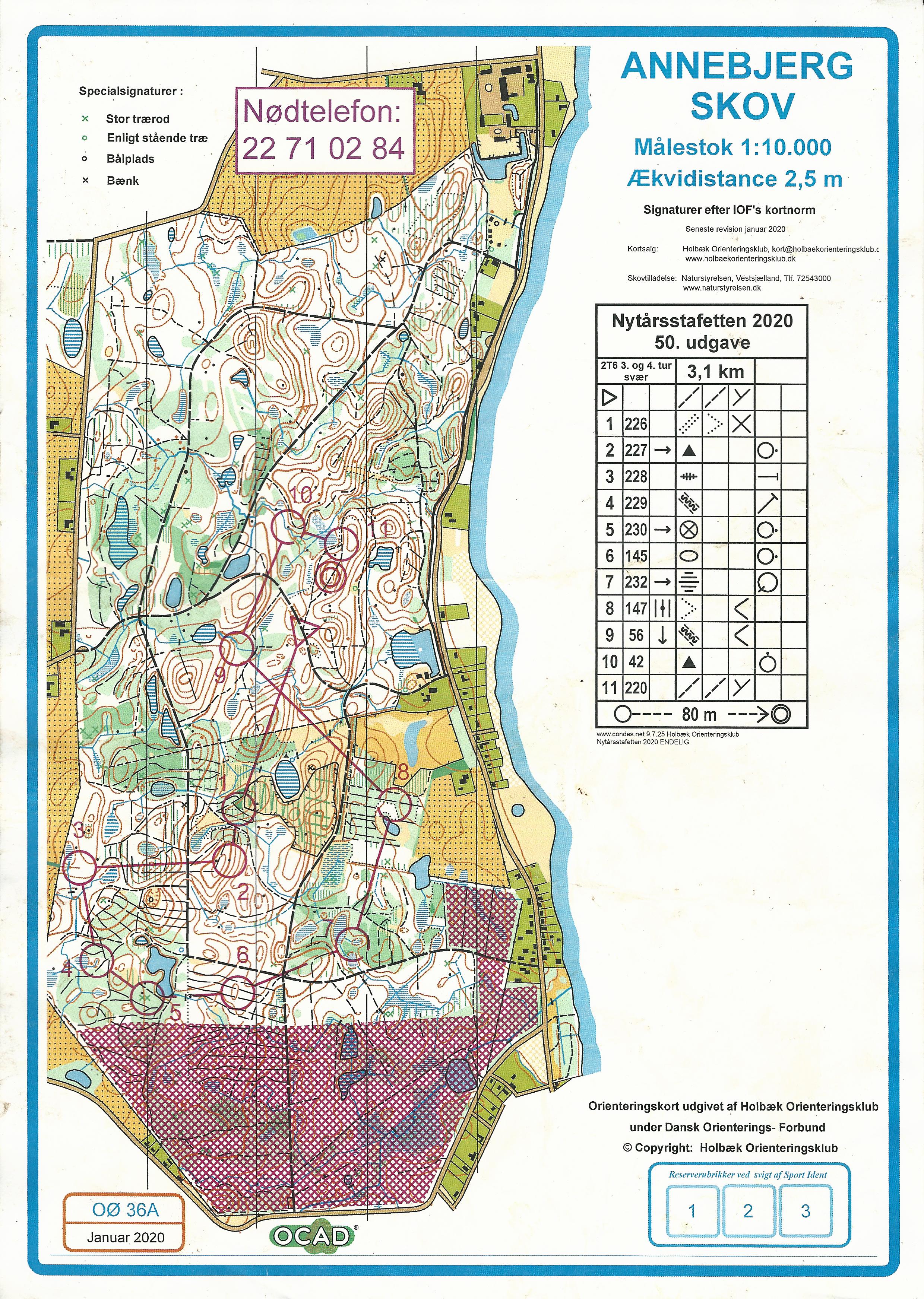 Nytårsstafet, Annebjerg Skov, 3.tur (12/01/2020)