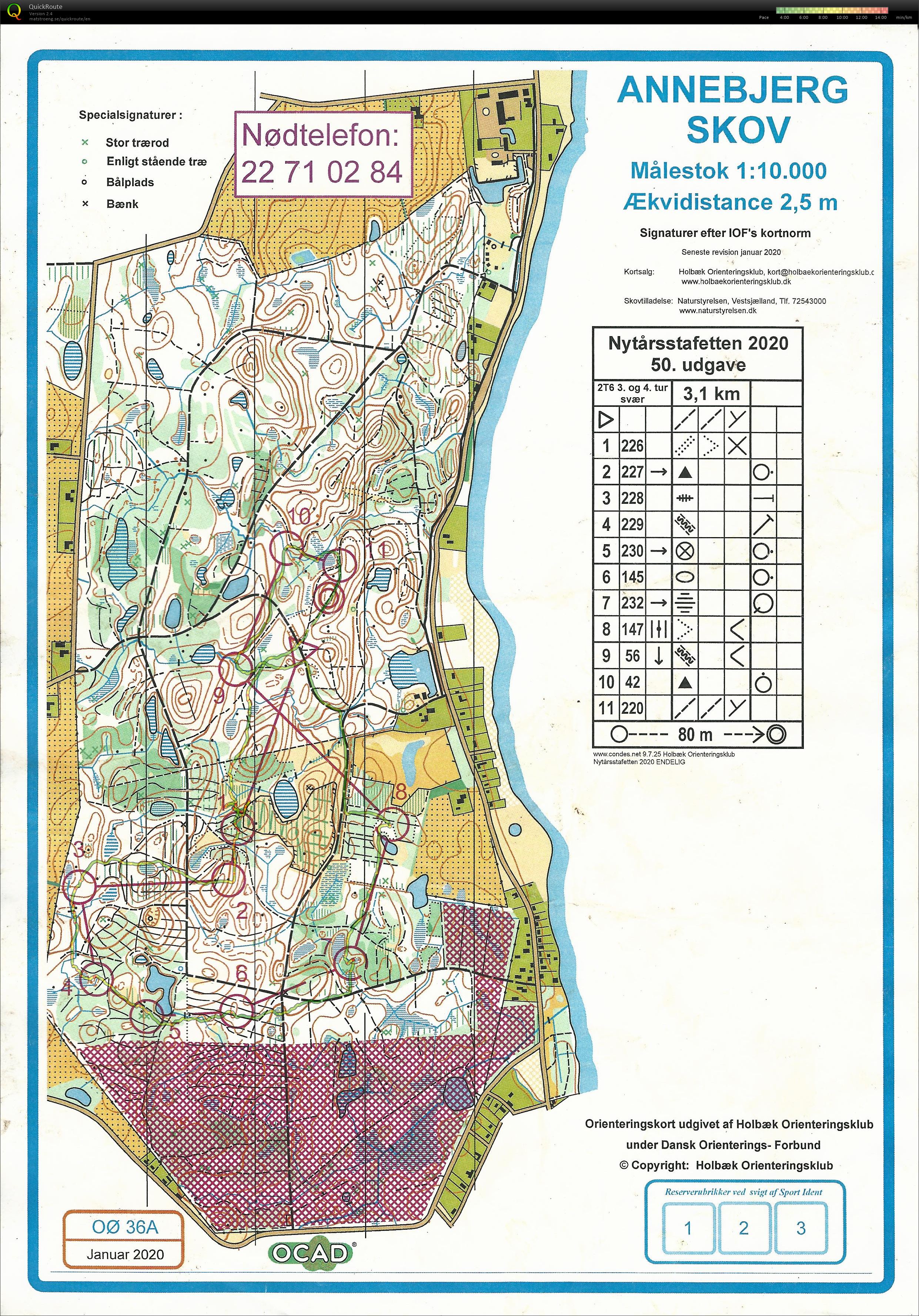 Nytårsstafet, Annebjerg Skov, 3.tur (12-01-2020)