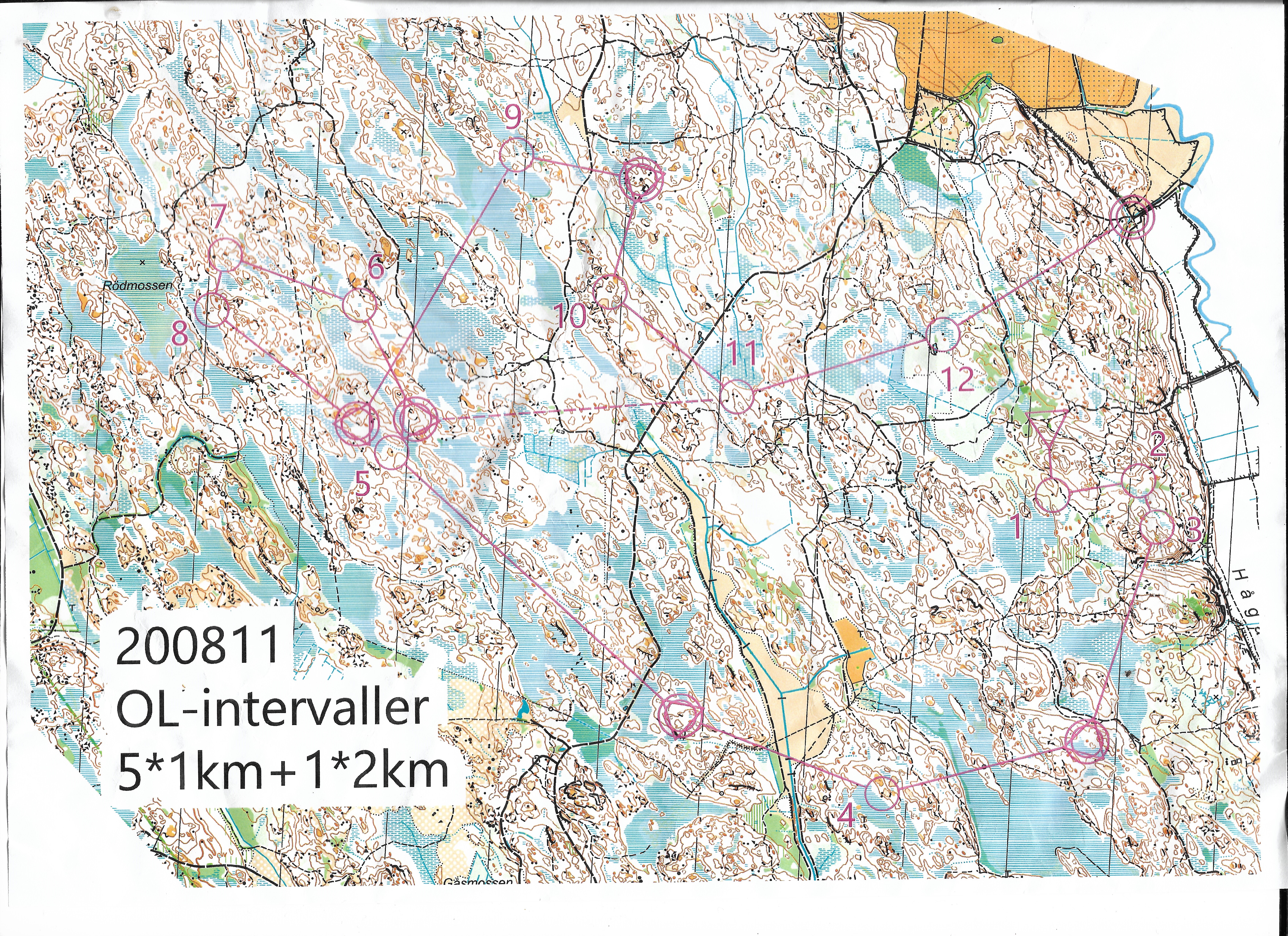 O-Intervaller Nåsten (11-08-2020)