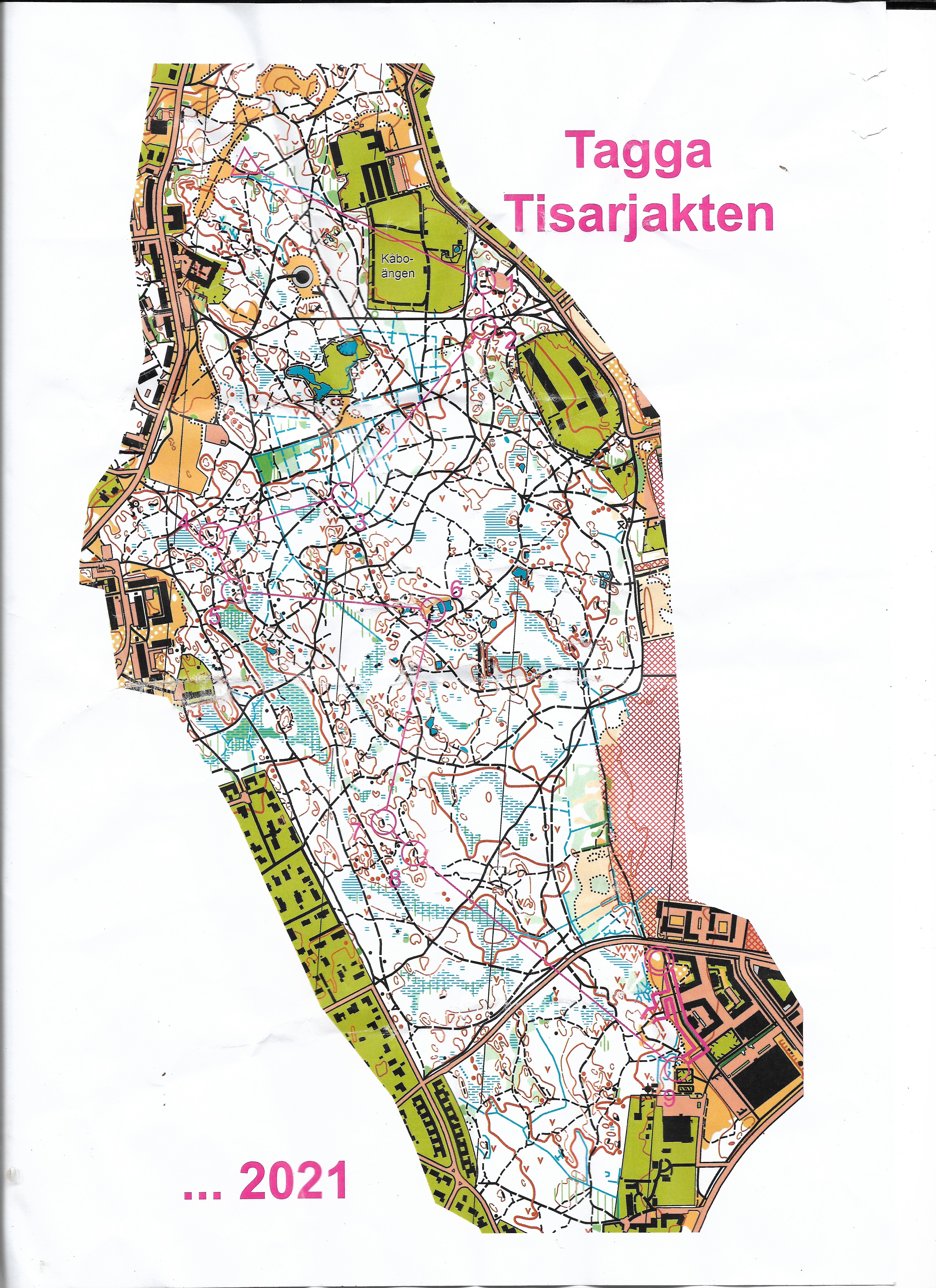 Stafettræning Stadsskogen 2 (05/11/2020)