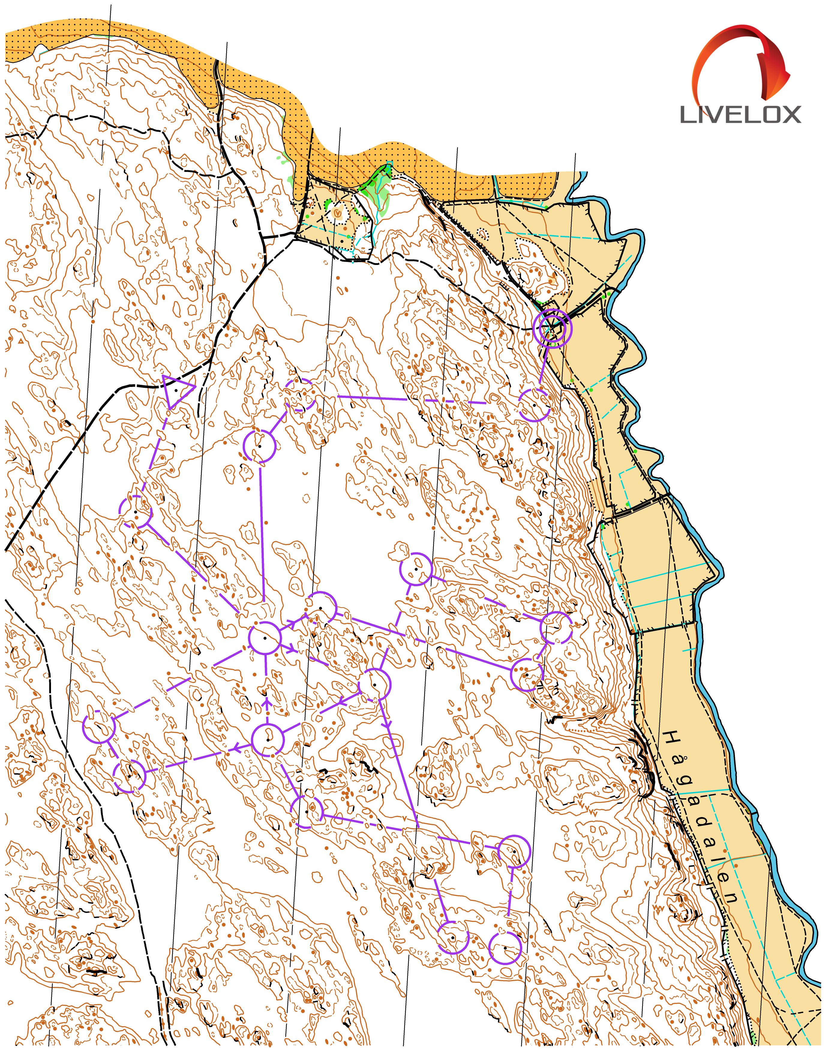 Diamant Nåsten (06/11/2020)