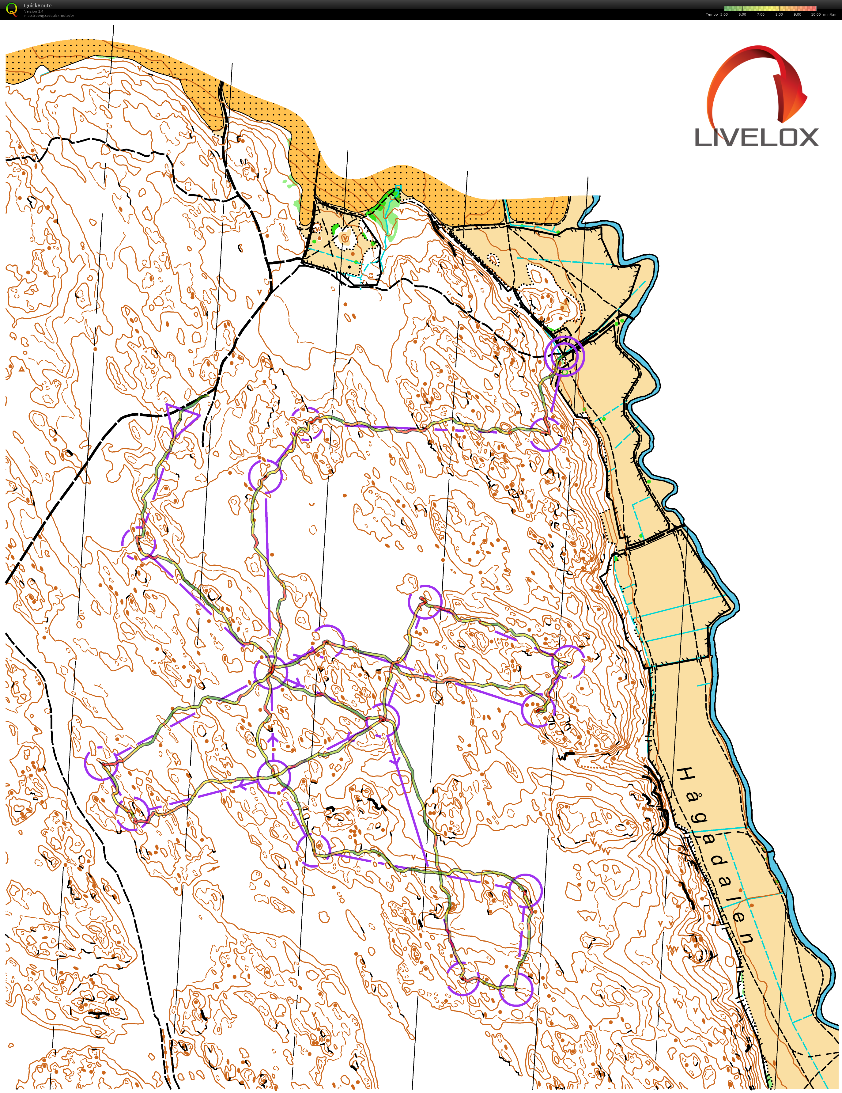 Diamant Nåsten (06/11/2020)