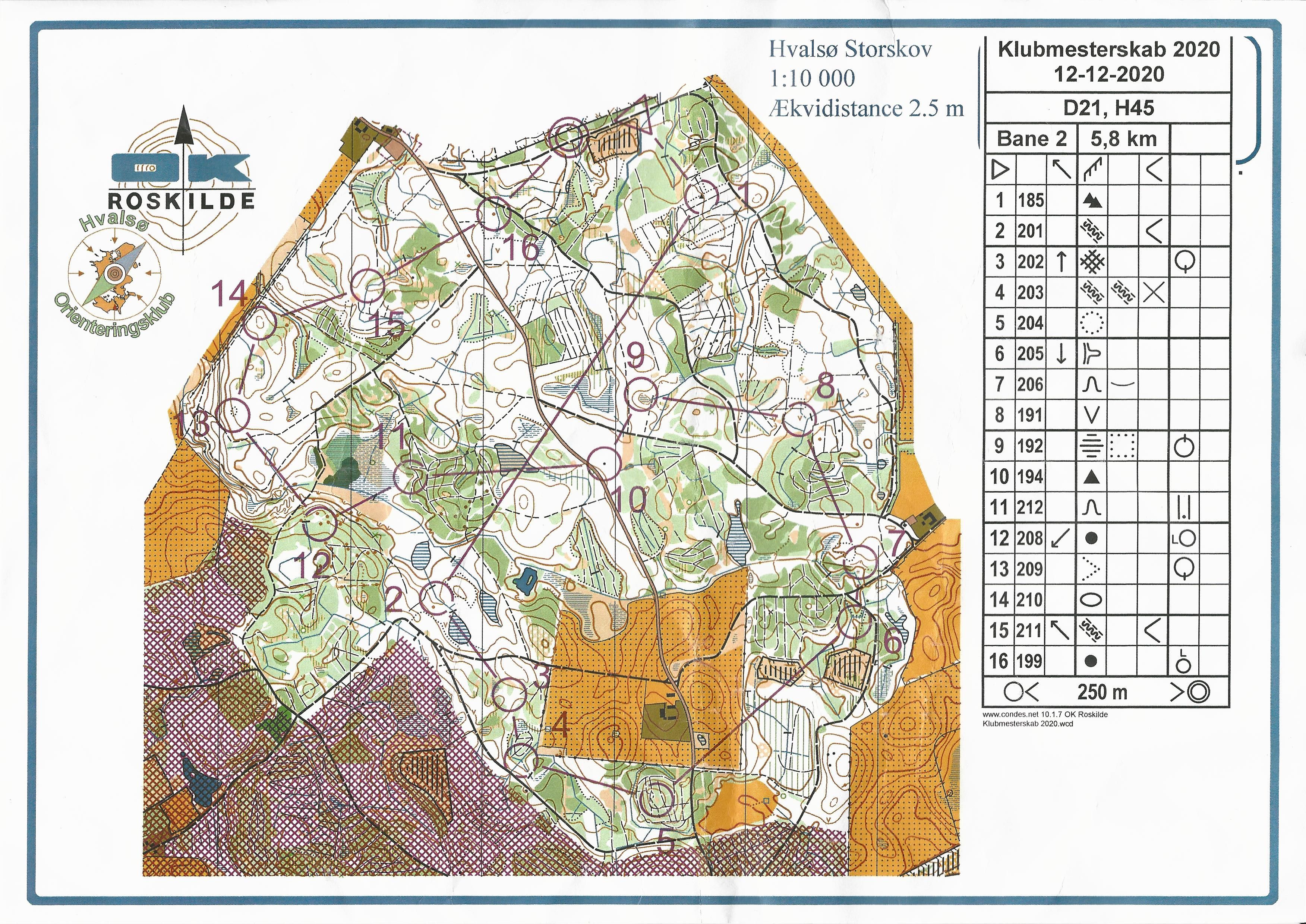 OKR Klubmesterskab, H45, Hvalsø Storskov (2020-12-12)