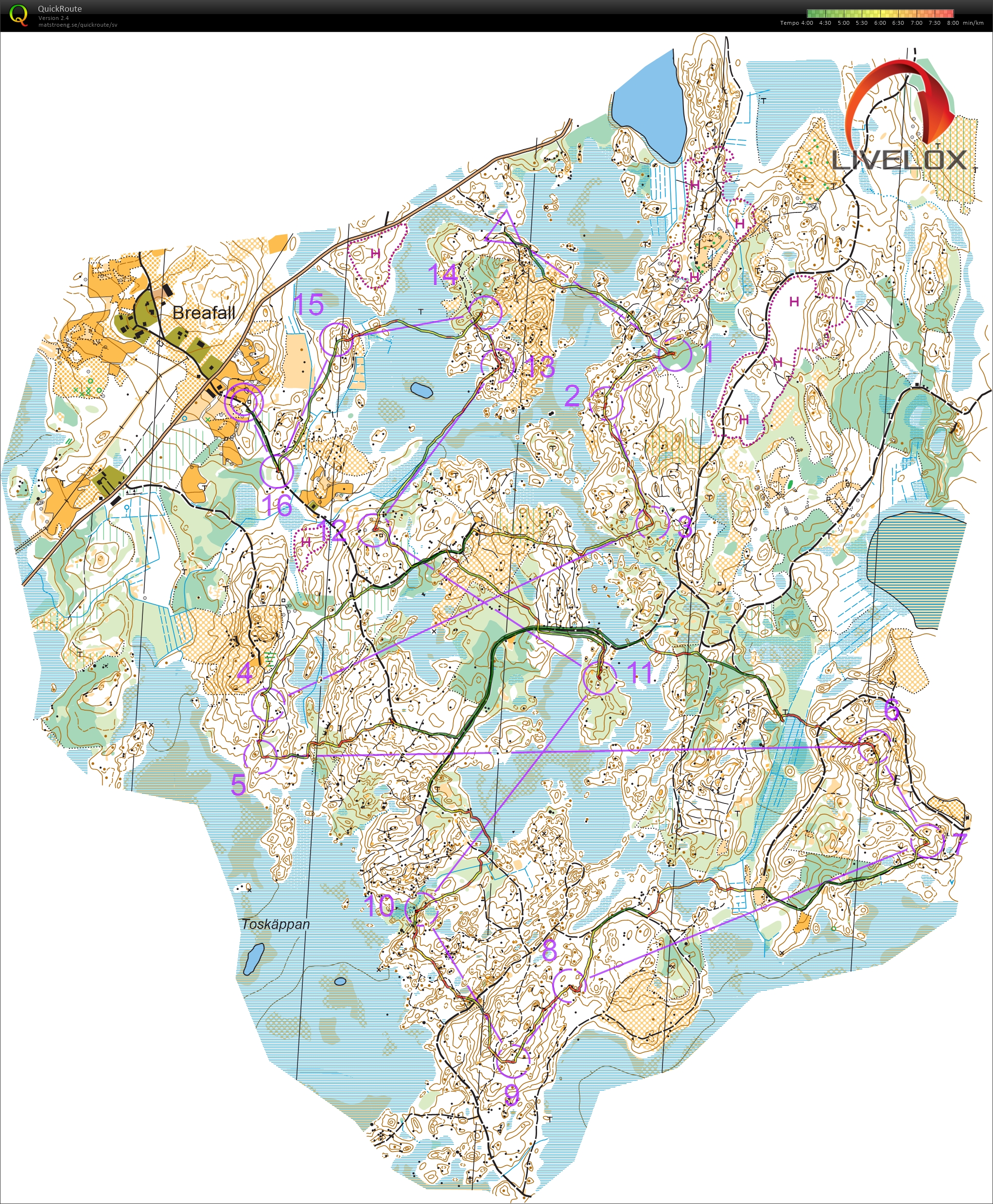 Forkortet Lang (17.07.2021)