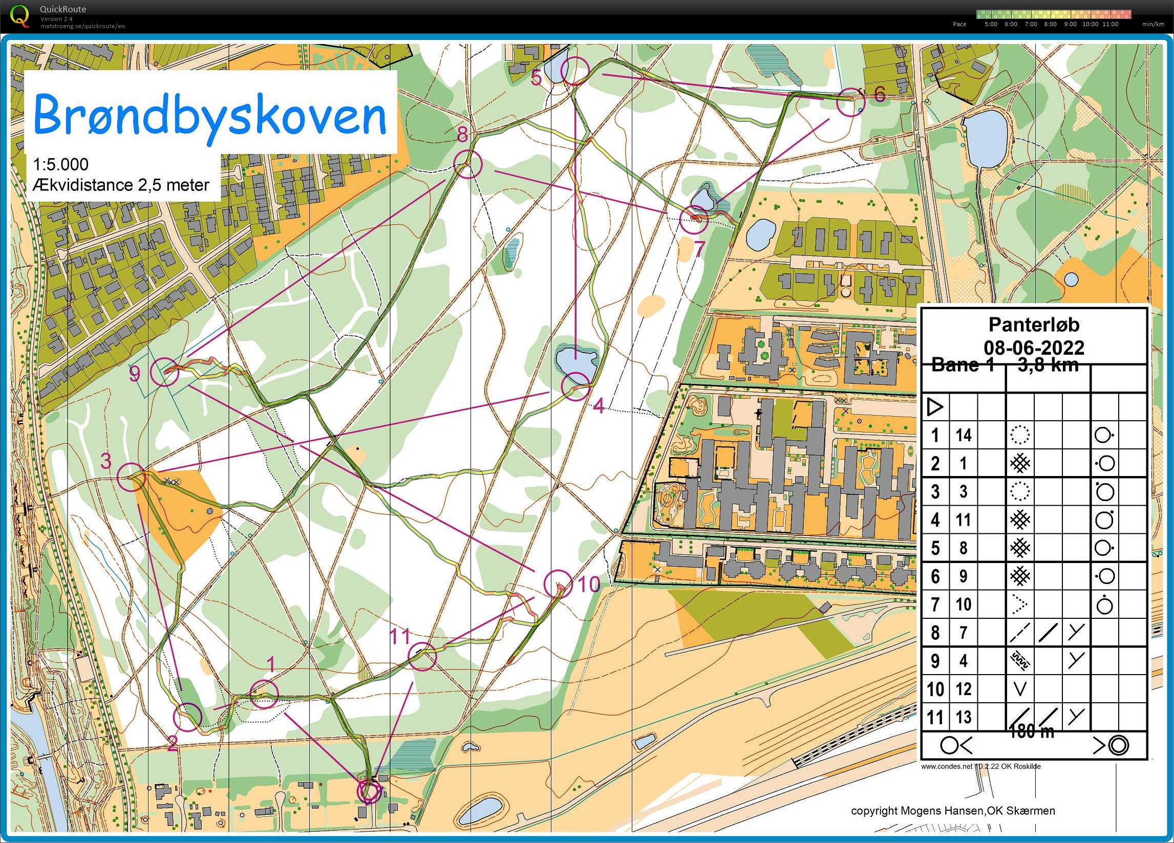 Panterløb (08-06-2022)