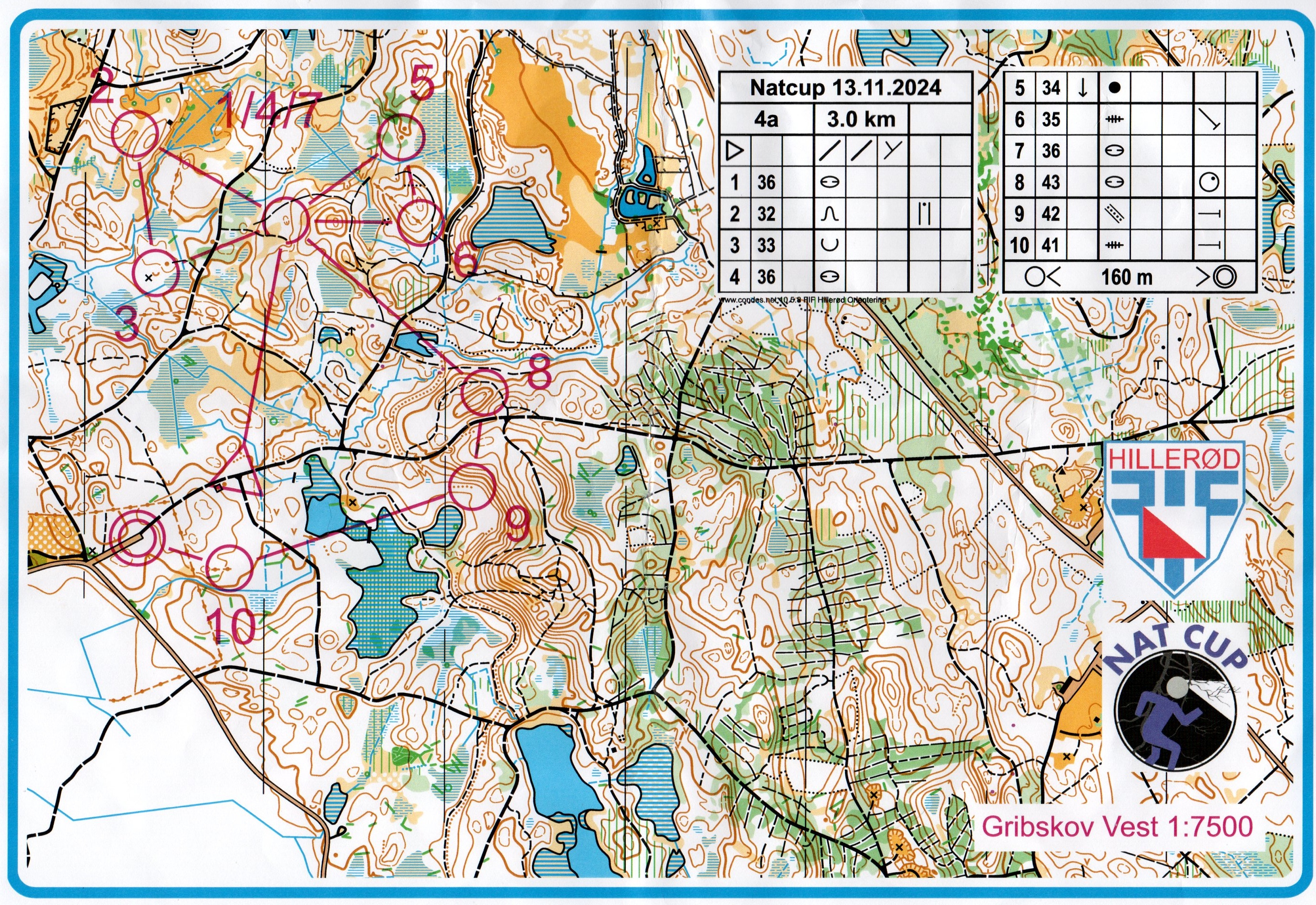 Natcup, H4 (2024-11-13)