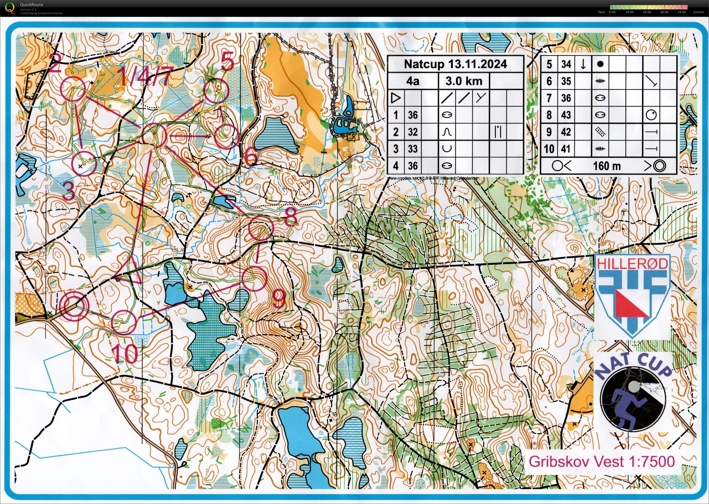 Natcup, H4 (2024-11-13)