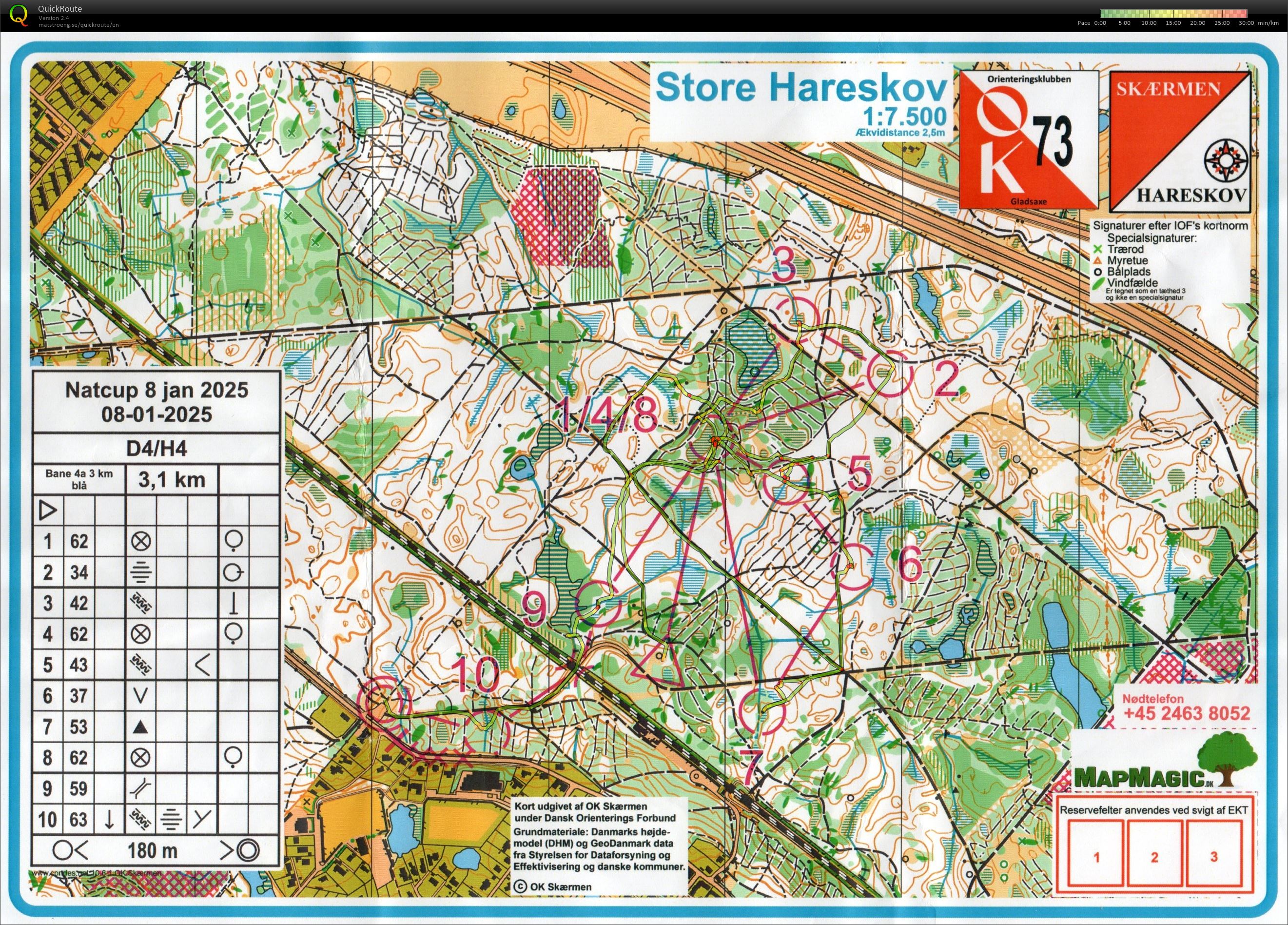 Natcup, H4 (2025-01-08)