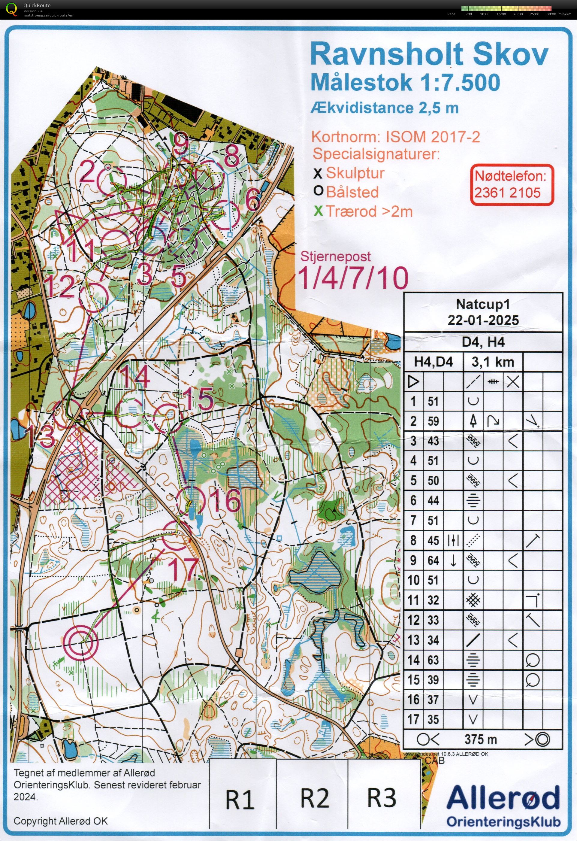 Natcup, H4 (2025-01-22)