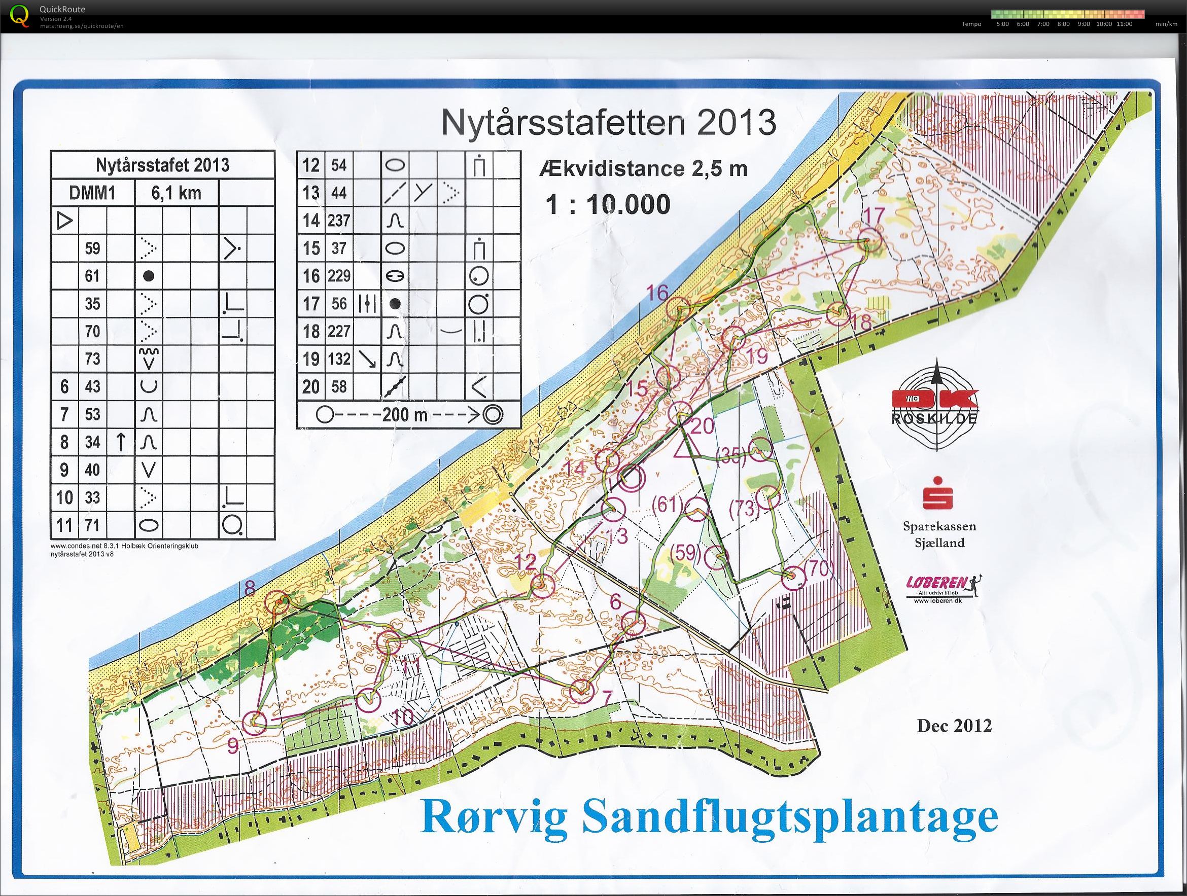 Nytårsstafet 2013 (13.01.2013)