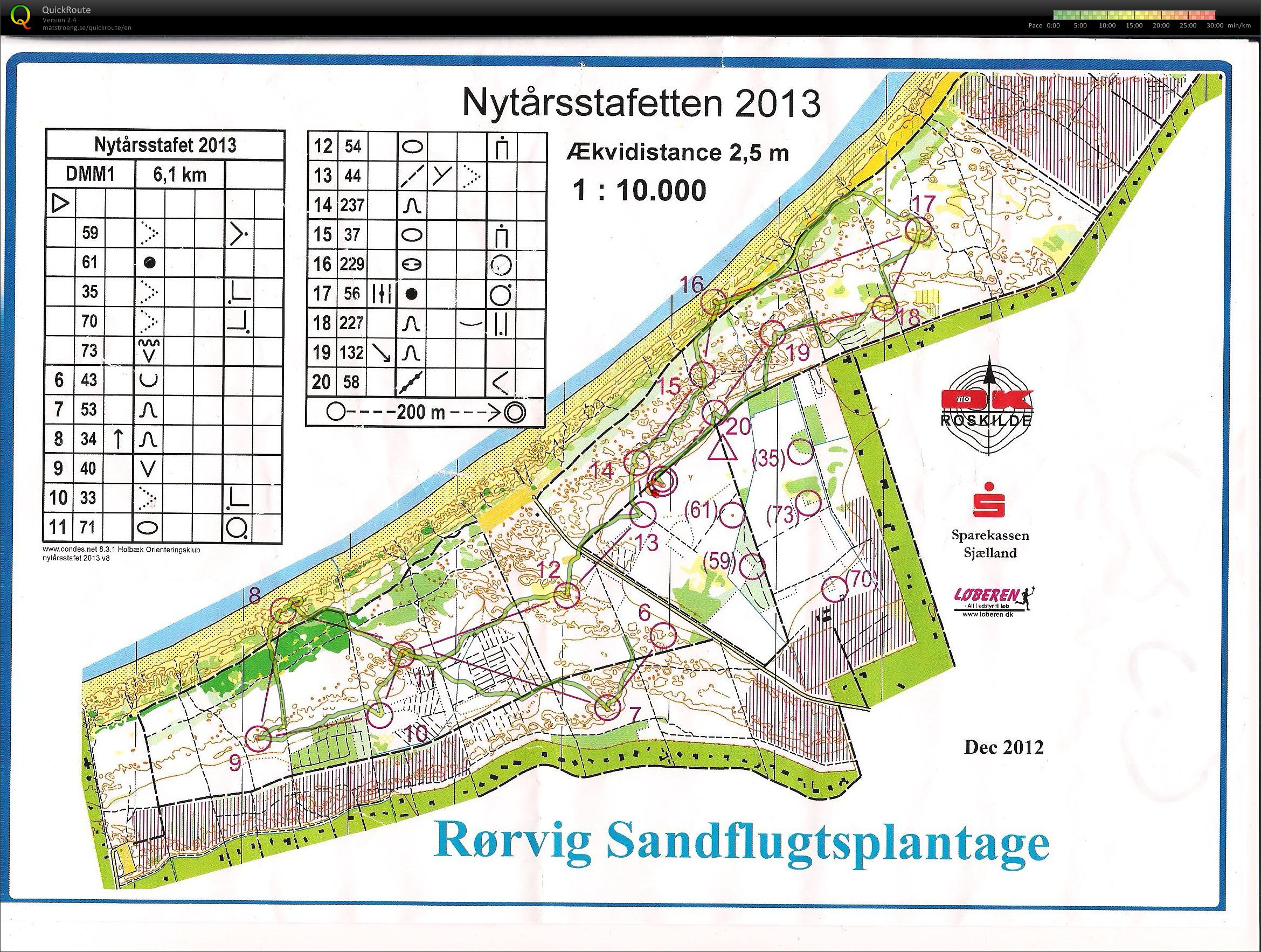 Nytårsstafet 2013 (13/01/2013)